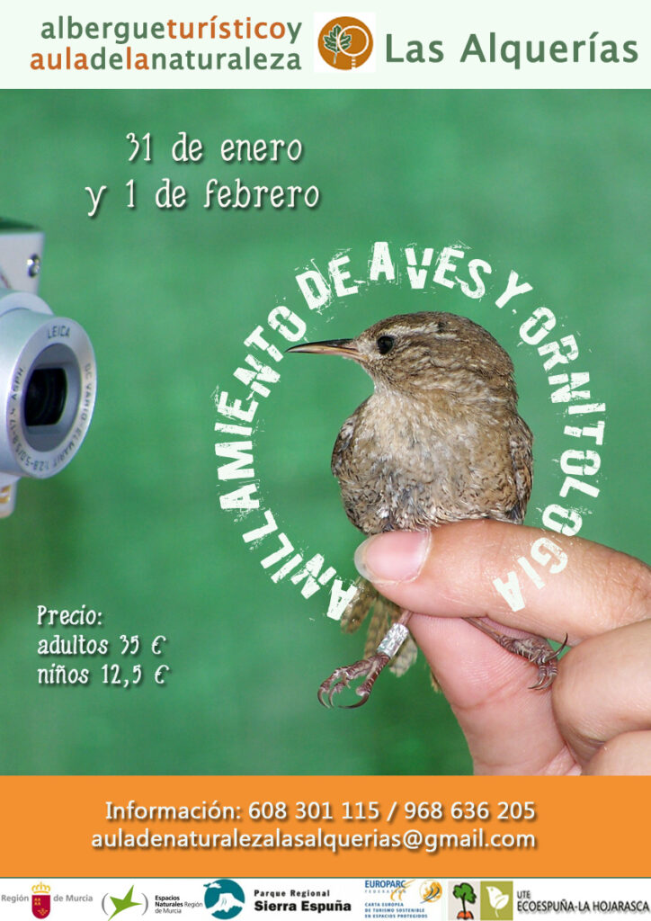 cartel anillamiento