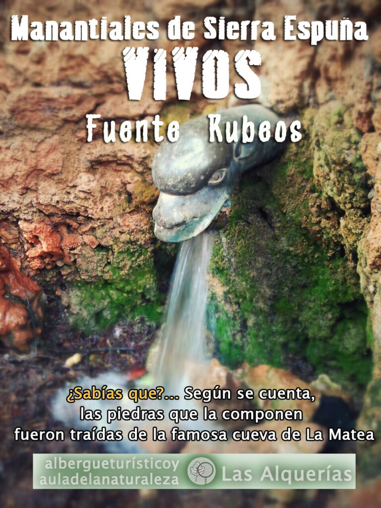 fuente rubeos