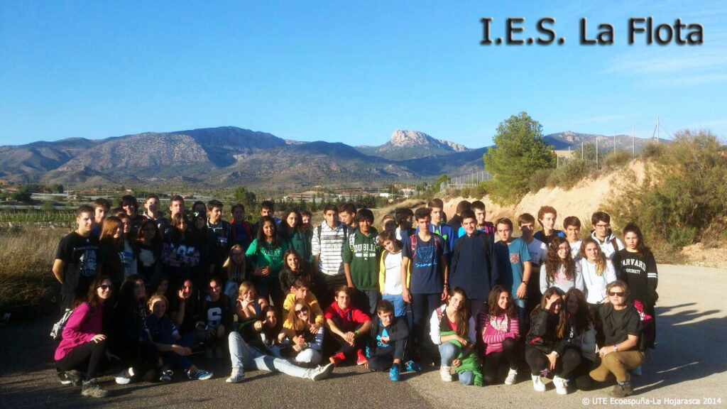 ies flota