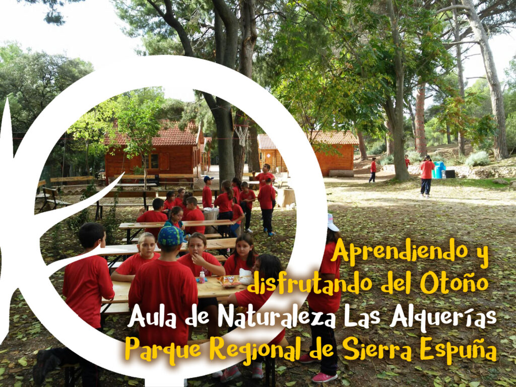 grupo_otono
