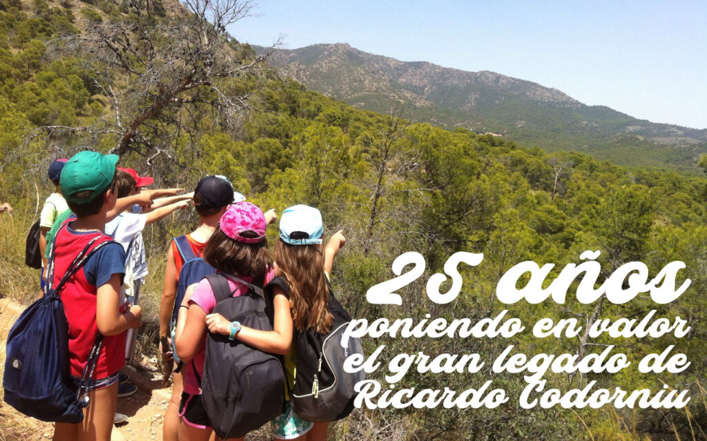 25años-1
