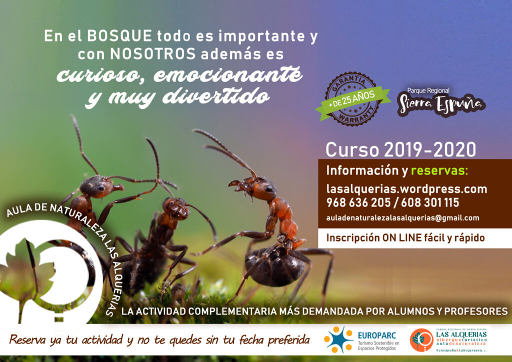 ABIERTO PLAZO DE INSCRIPCIÓN CURSO 2019-20 1 promo inicio curso