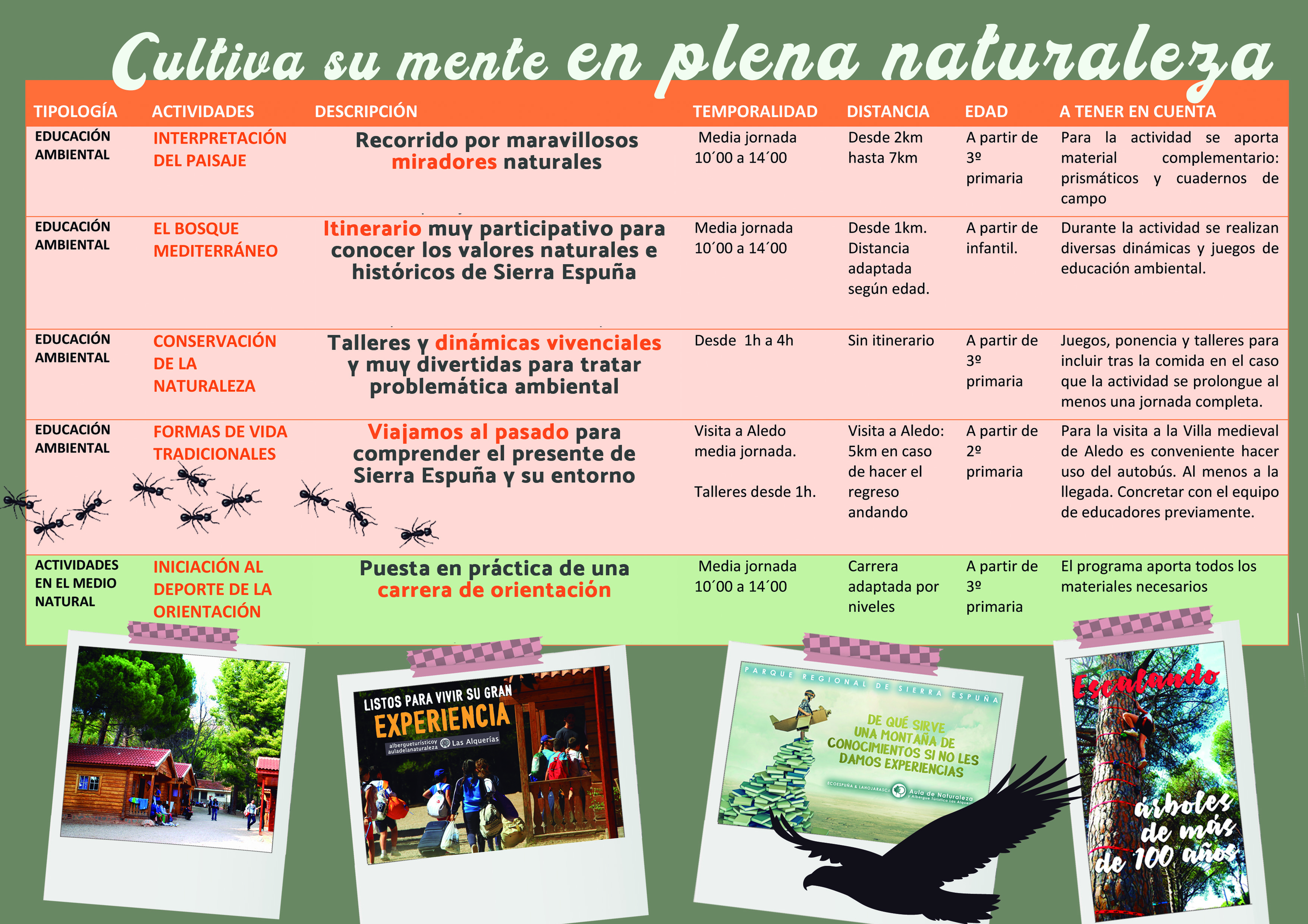 flyer1.1