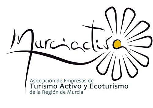 logo 2020