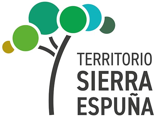 logo territorio nuevo