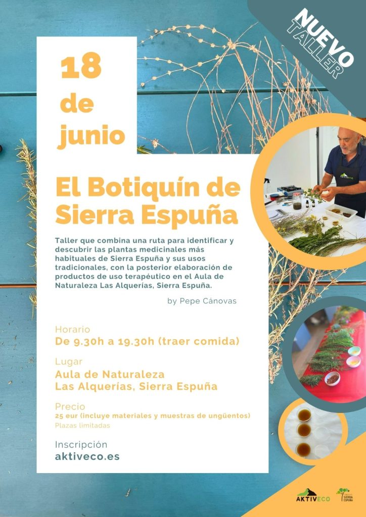 taller 18 junio 1