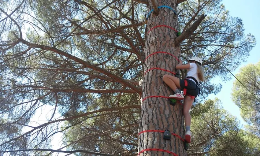 Qué albergues para grupos hay en Sierra Espuña 5 albergues grupos sierra espuna