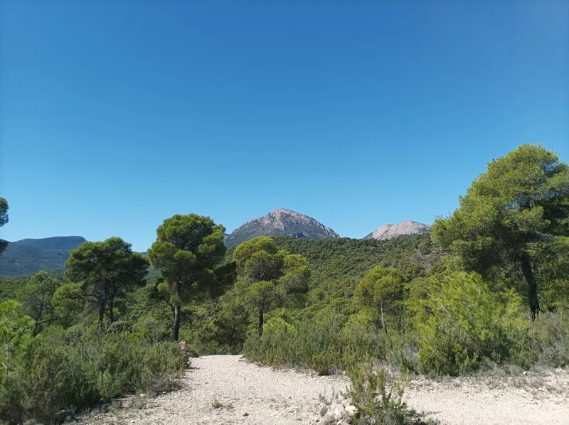 10 cosas para conocer Sierra Espuña en un fin de semana 6 cosas para conocer Sierra Espuña en un fin de semana